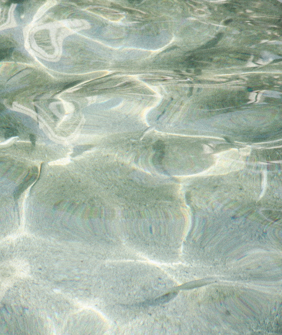At Livelle, we care deeply about the environment and strive to minimize our ecological footprint.